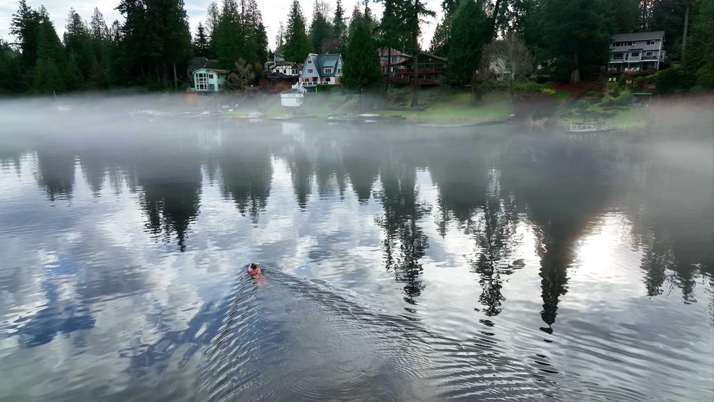 A woman swimming in a glassy lake. The edge of the lake has fog floating above it and there are houses and trees on the shore.