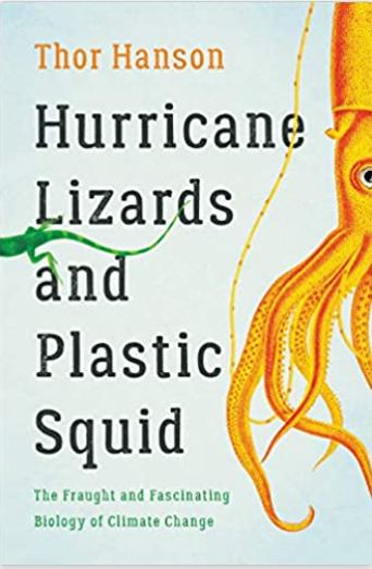 Hurricane Lizards and Plastic Squid book cover